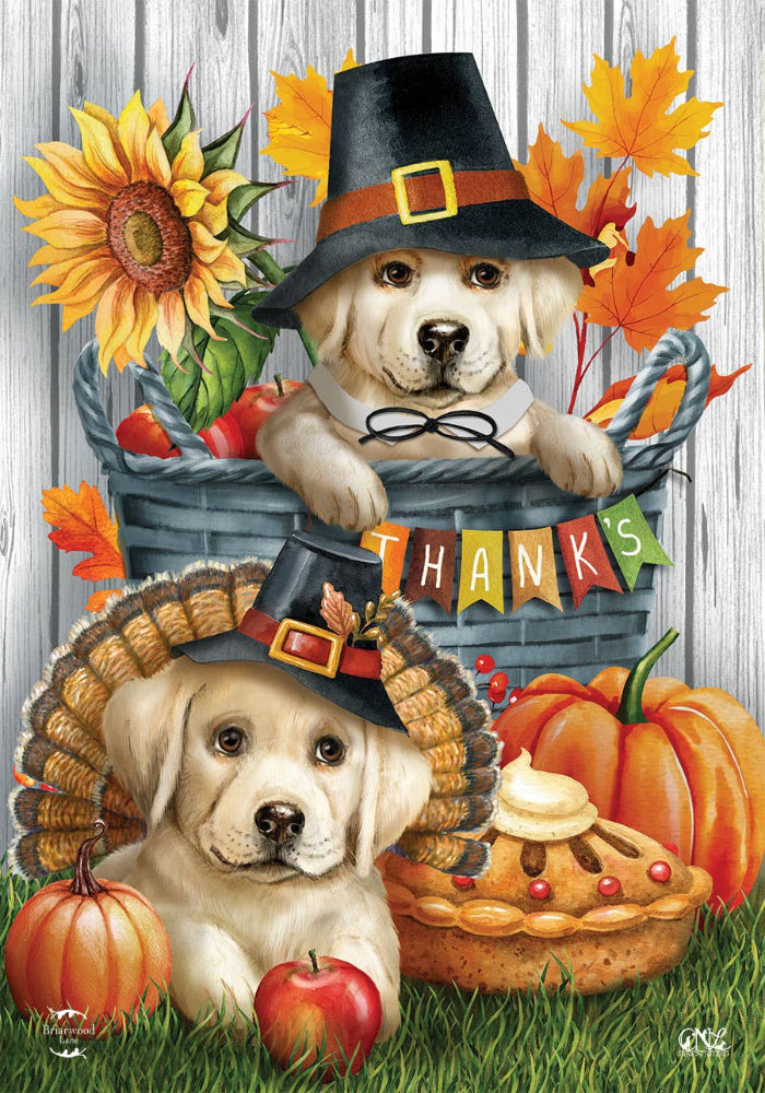 Briarwood Pilgrim Puppies Garden Flag - 12.5" x 18"