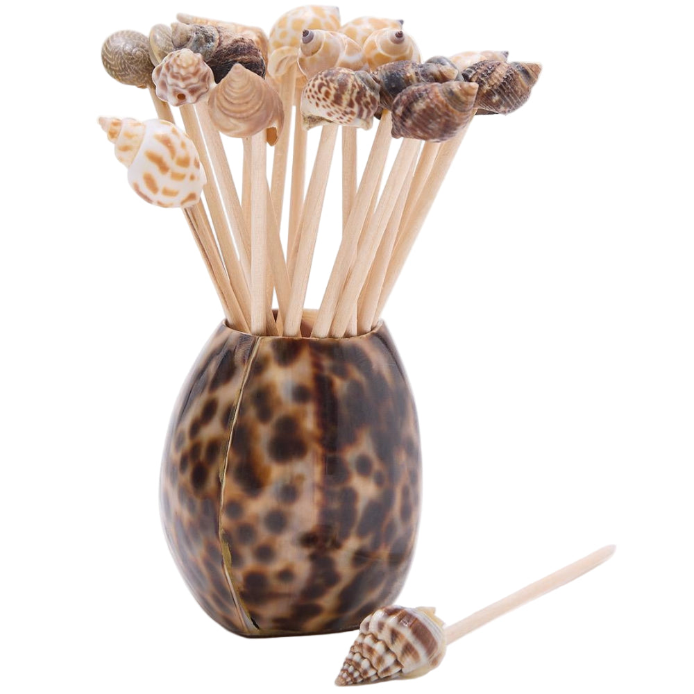 Tiger Cowrie Shell Toothpick Holder w/ Shell Toothpicks - 20 pc.