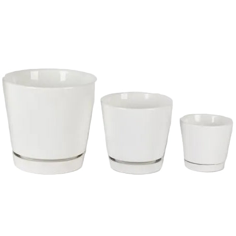 Border Concepts Ceramic Flair Saucer Planter - 4.5" to 8"