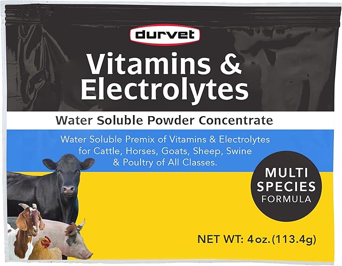 Durvet Powdered Vitamin & Electrolyte Supplement - 4 oz.