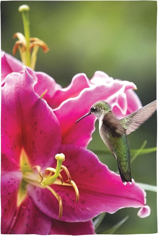 Evergreen Nature & Bird Themed Garden Flags - 12.5" x 18"