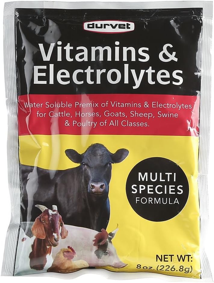 Durvet Powdered Vitamin & Electrolyte Supplement - 4 oz.