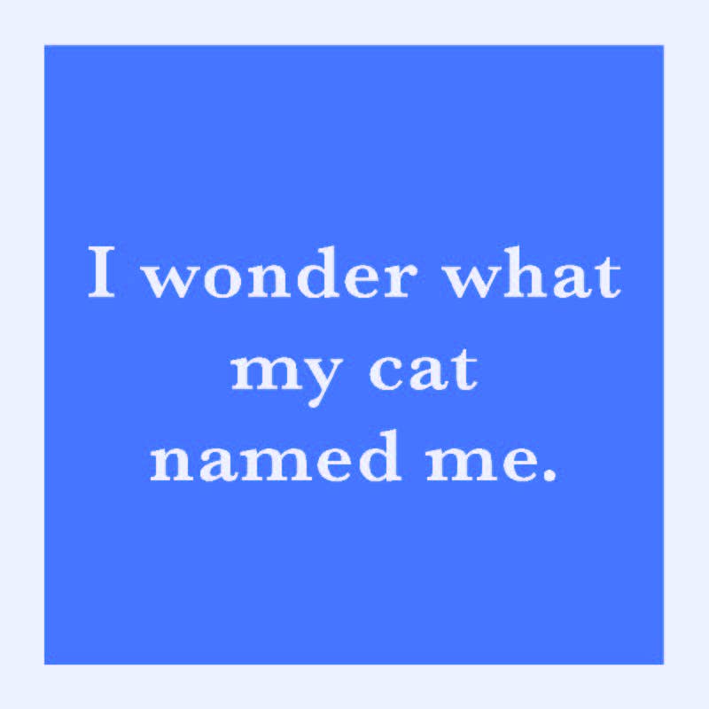 Drinks On Me Humorous Resin Drink Coasters - 4" x 4"