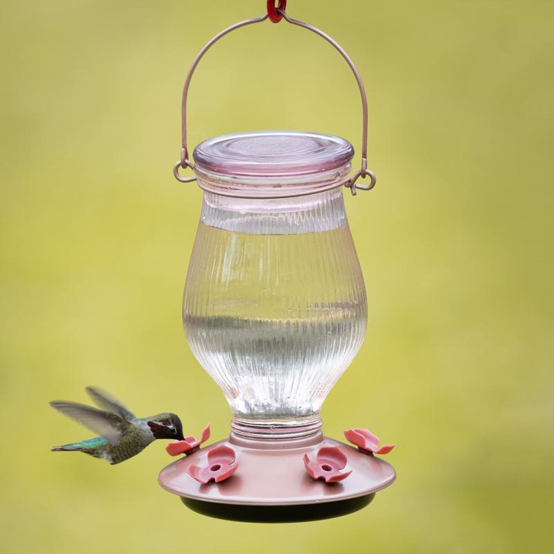 Glass/Plastic Hummingbird Feeder, Rose Gold - 5 Ports