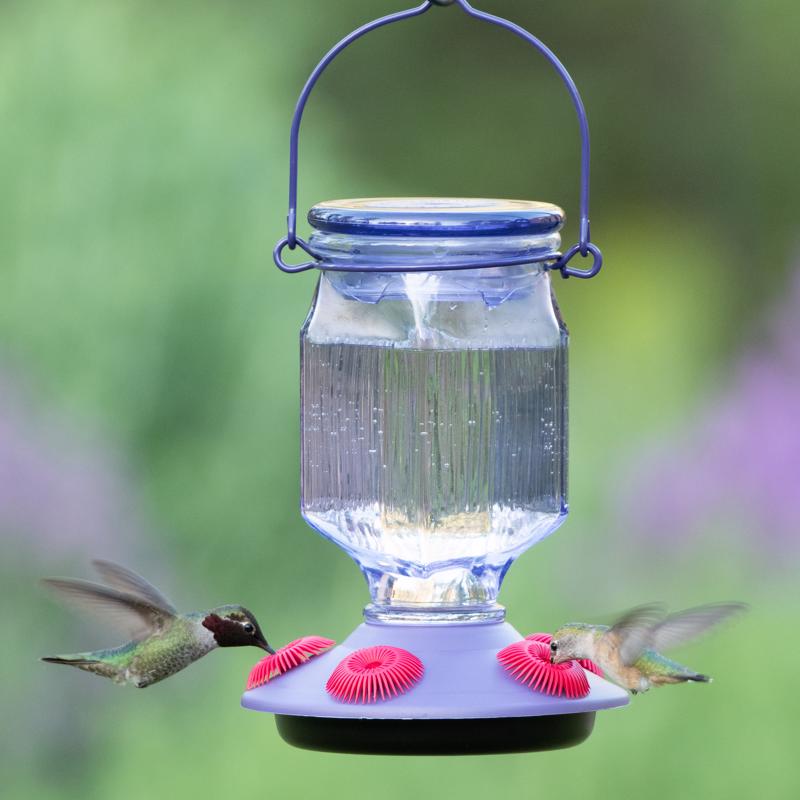 Glass/Plastic Hummingbird Feeder, Lavender, 5 Ports
