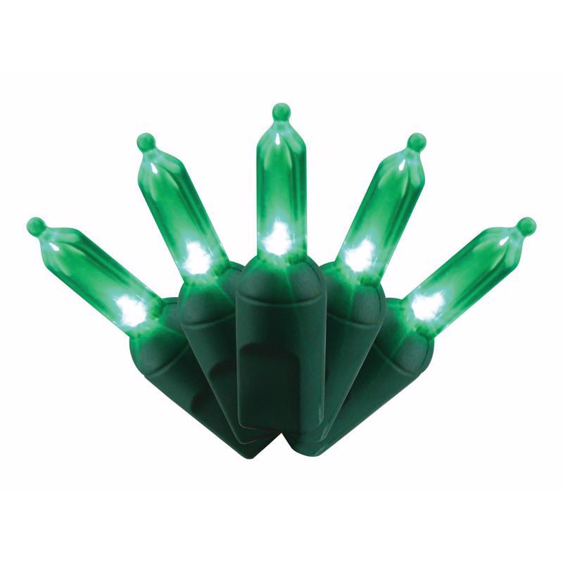 Celebrations Platinum LED T5 Mini Christmas Lights - 24.5' (50 Lights)