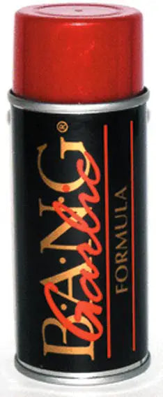 BANG Fish Attractant Aerosol - 5 oz.