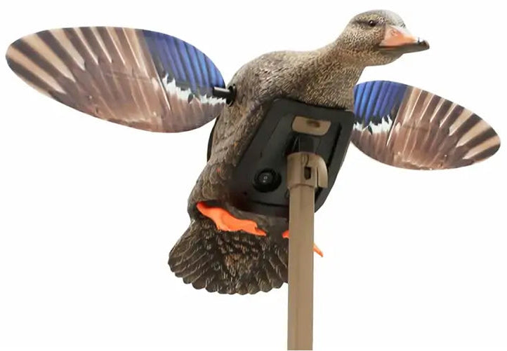 MOJO Spinning-Wing Mini Mallard Hen Decoy (w/ Support Pole & Remote)