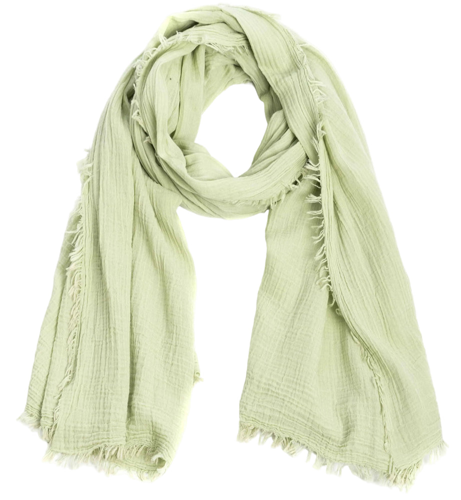 Saachi Cotton Fringed Light Scarves - 39" x 71"