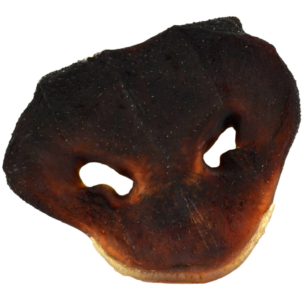 Jones Natural Chews Pig Snout Dog Treat