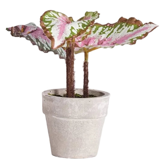 faux mini potted plants Napa Potted Faux Mini Begonia