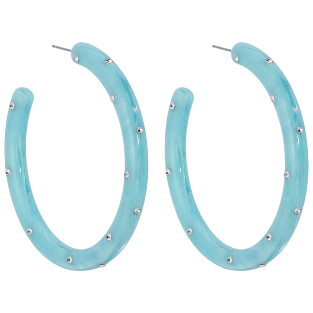 Splendid Iris Resin Rhinestone Hoop Earrings