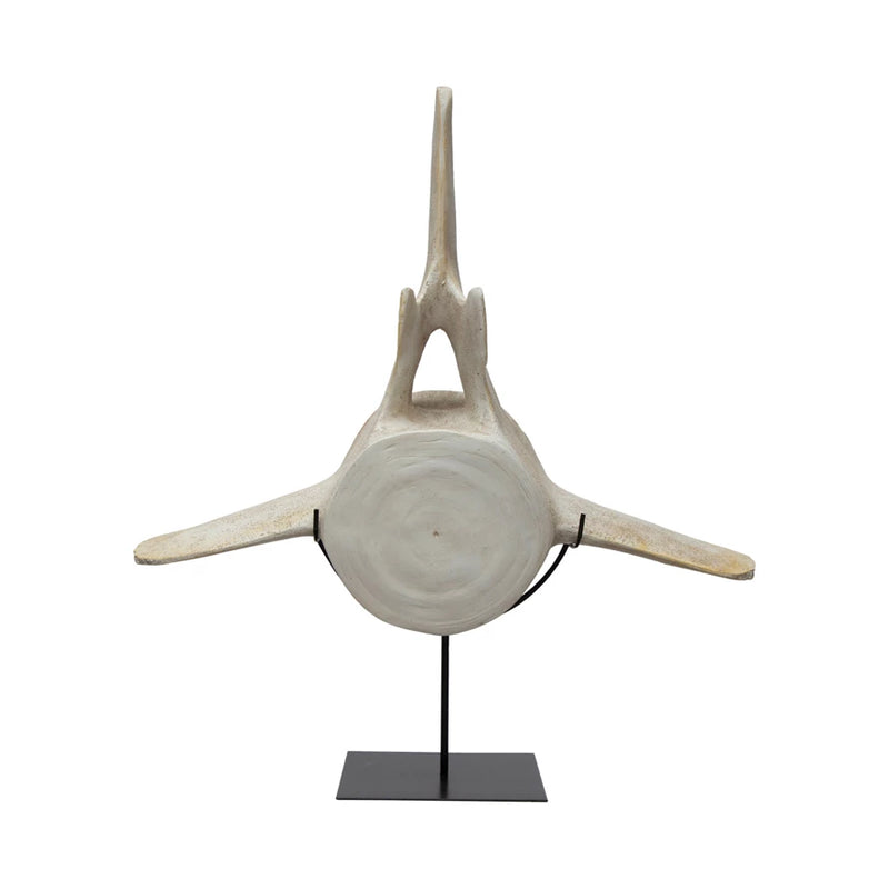 Resin Reproduction Whale Bone w/ Metal Stand