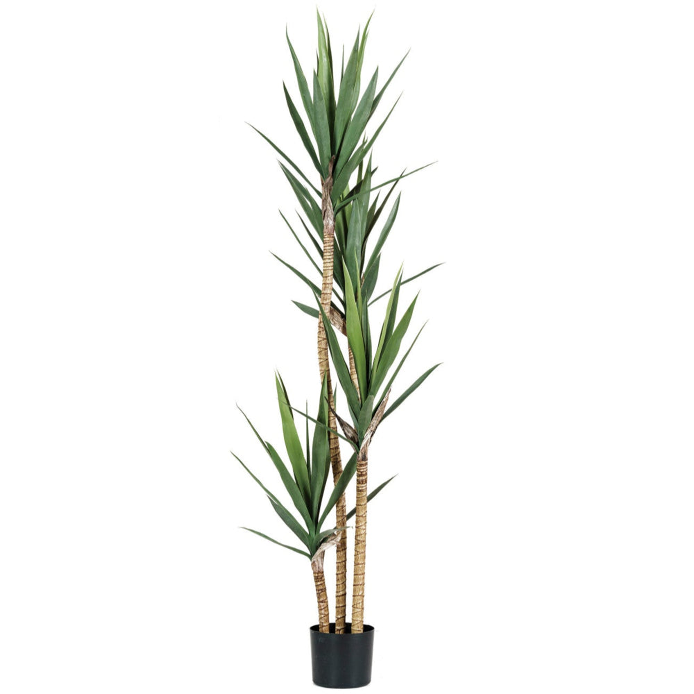Faux Yucca Tree w/ Plastic Pot - 71"