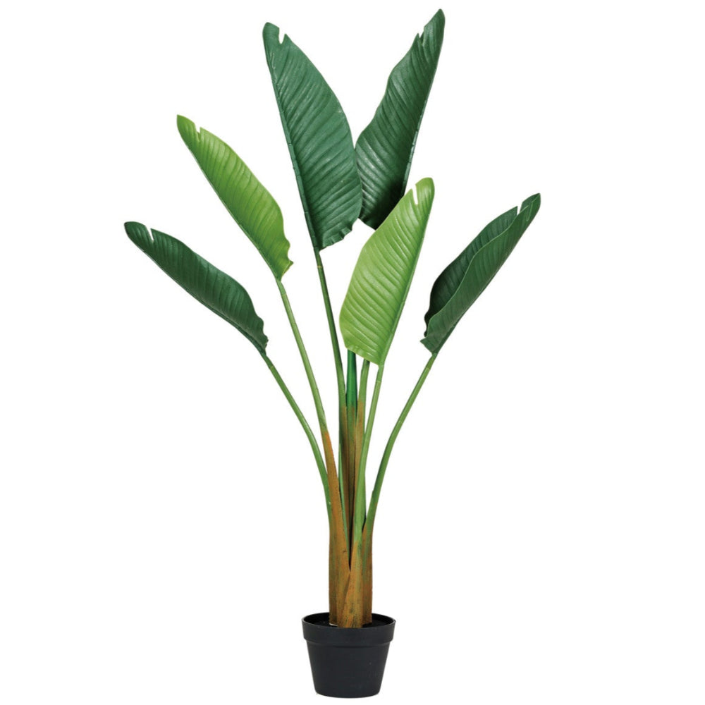 Faux Banana Tree w/ Plastic Pot - 52"