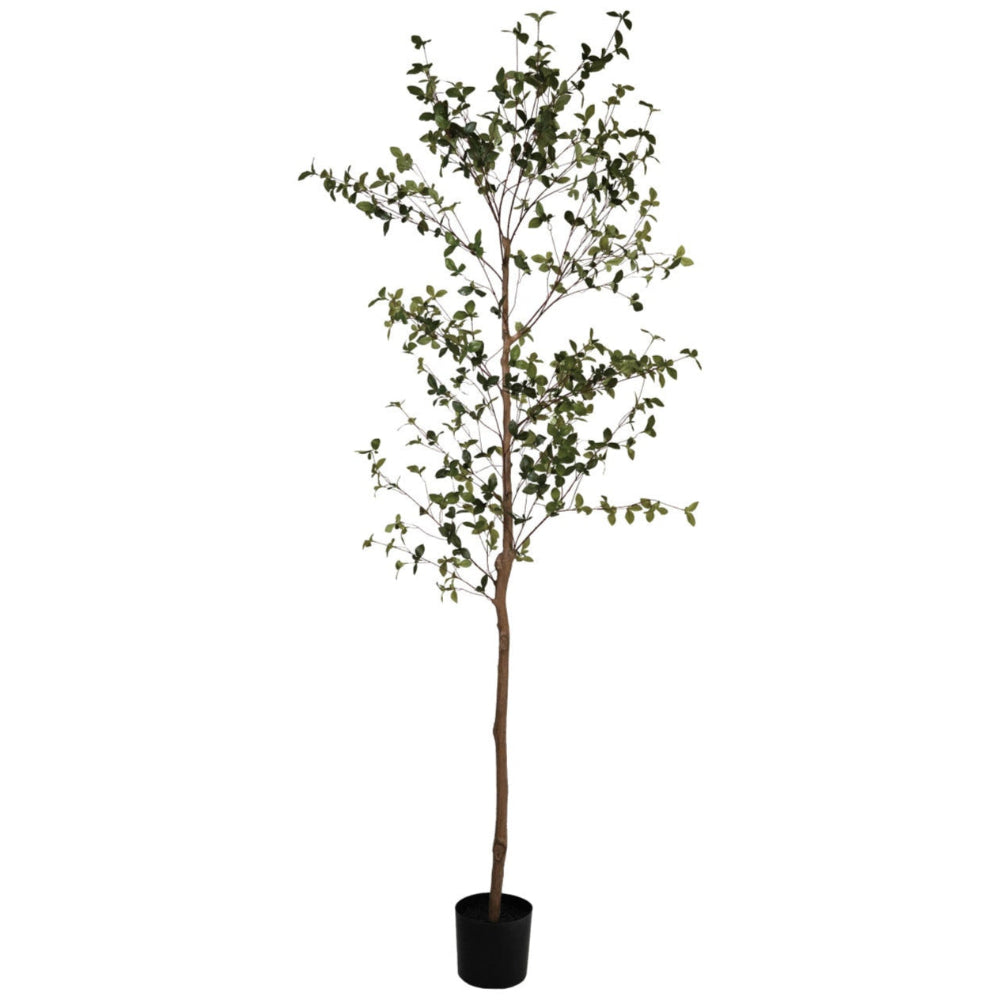 Faux Ficus Tree w/ Plastic Pot - 8.2'
