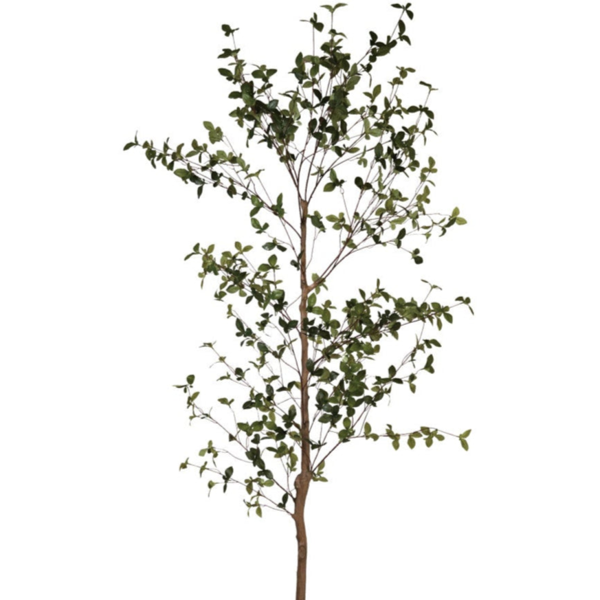 Faux Ficus Tree w/ Plastic Pot - 8.2'