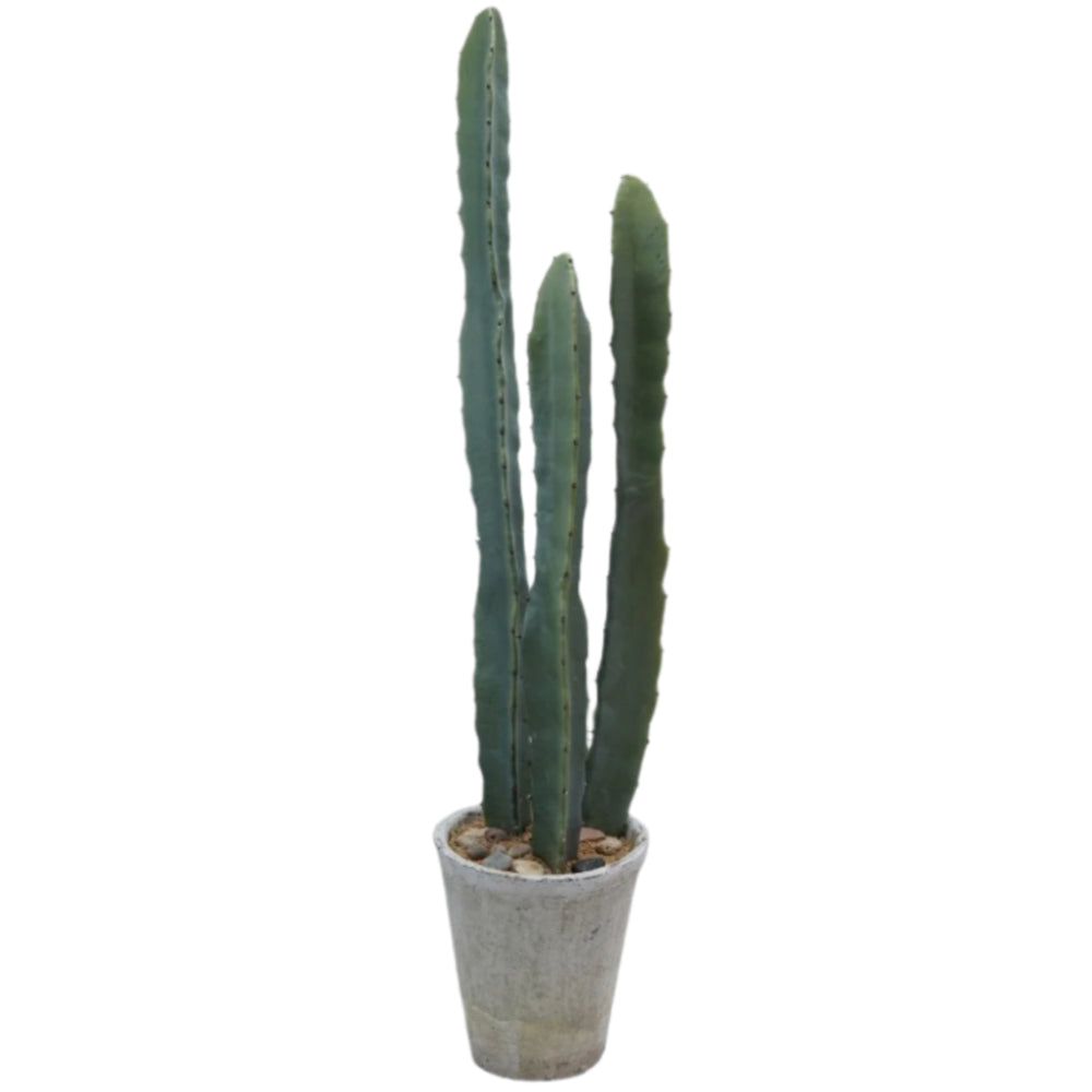 Faux Euphorbia Cactus w/ Cement Pot - 32"
