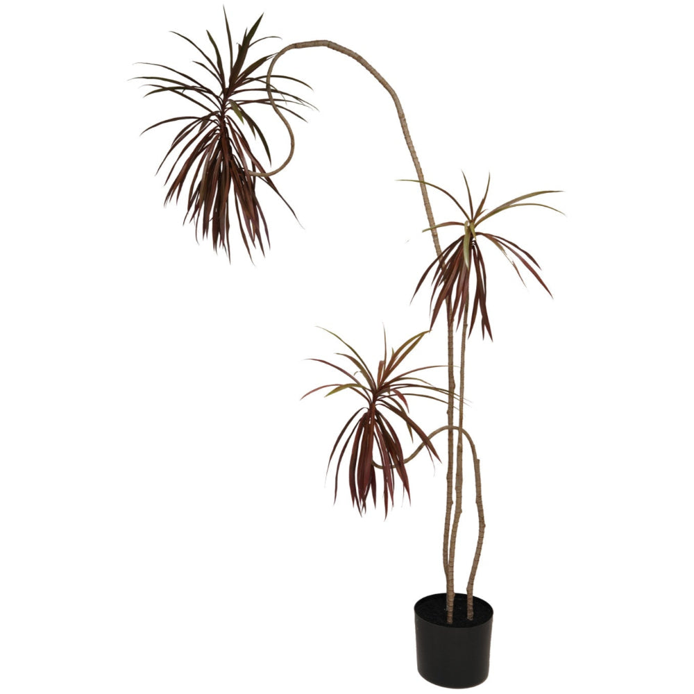 fake dracaena Faux Dracaena Tree w/ Plastic Pot