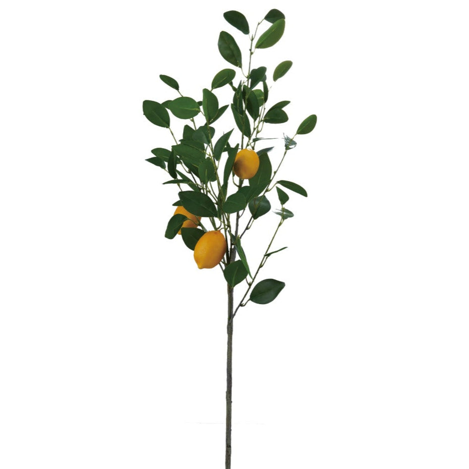 Faux Lemon Tree Branch Pick - 3'