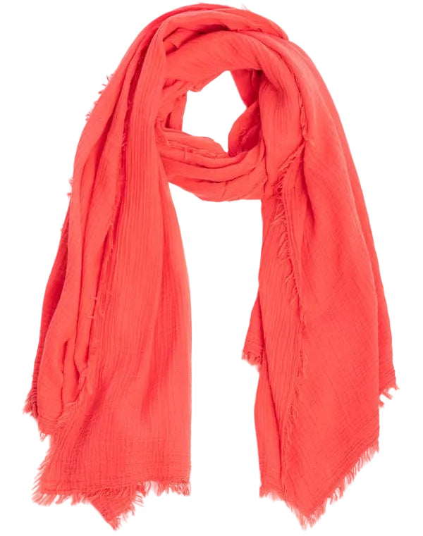 Saachi Cotton Fringed Light Scarves - 39" x 71"