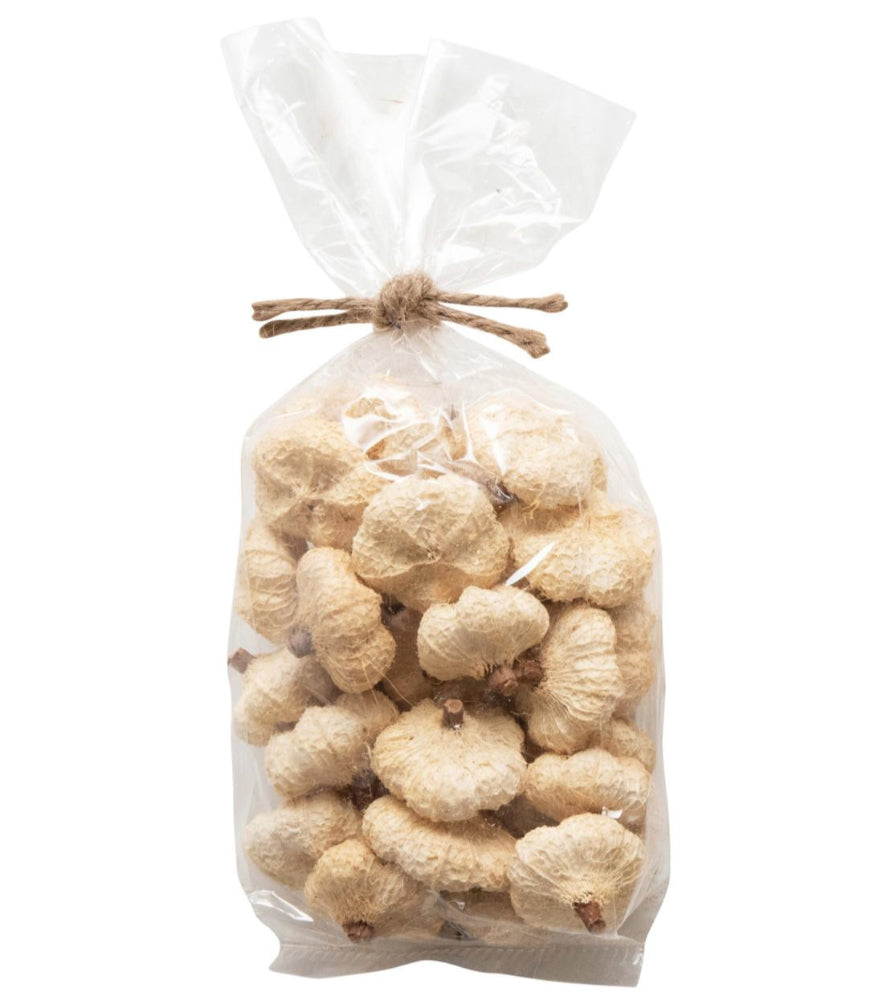 Dried Natural White Peepal Pods - 5 oz.