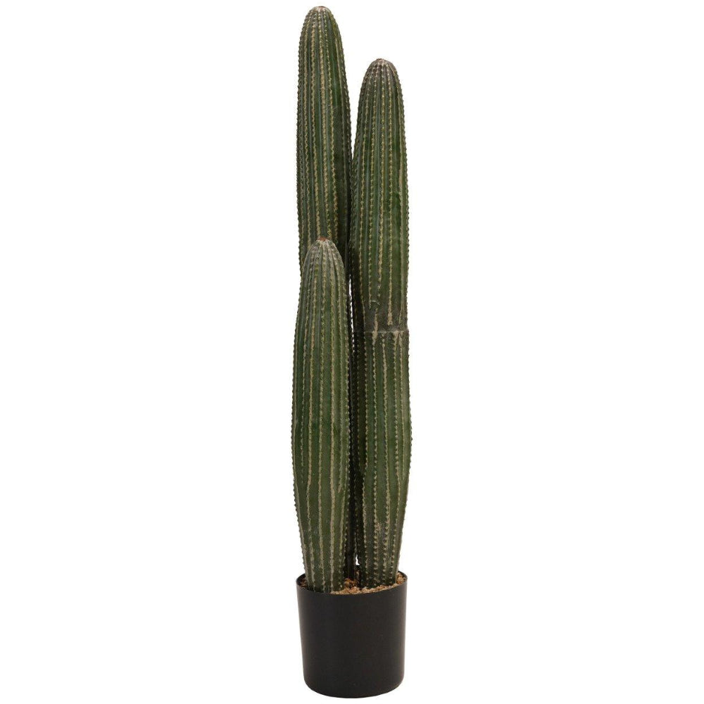 Faux Pachycereus Cactus w/ Plastic Pot - 27"