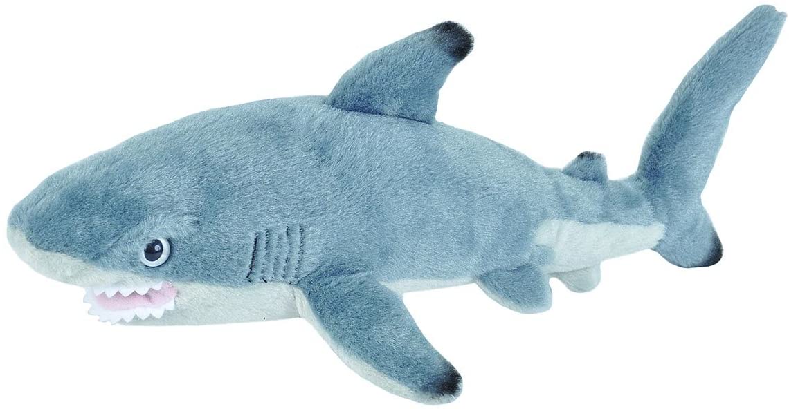Cuddlekins Plush Blacktip Shark - 8"