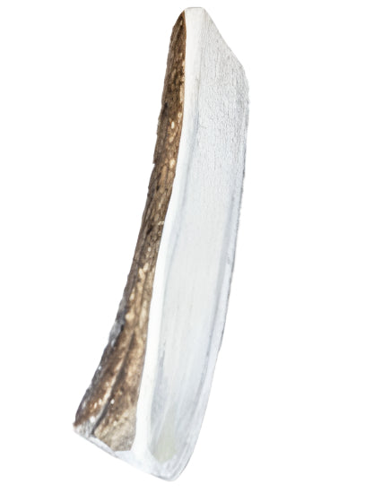 Bucky Bites Antler Stick Dog Chews