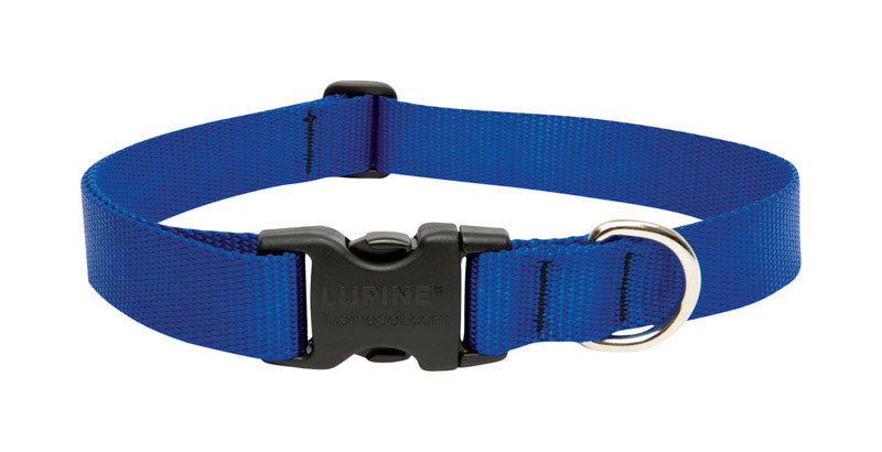 Adjustable Nylon Dog Collar (Basic Solids)