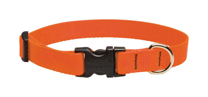 Adjustable Nylon Dog Collar (Basic Solids)