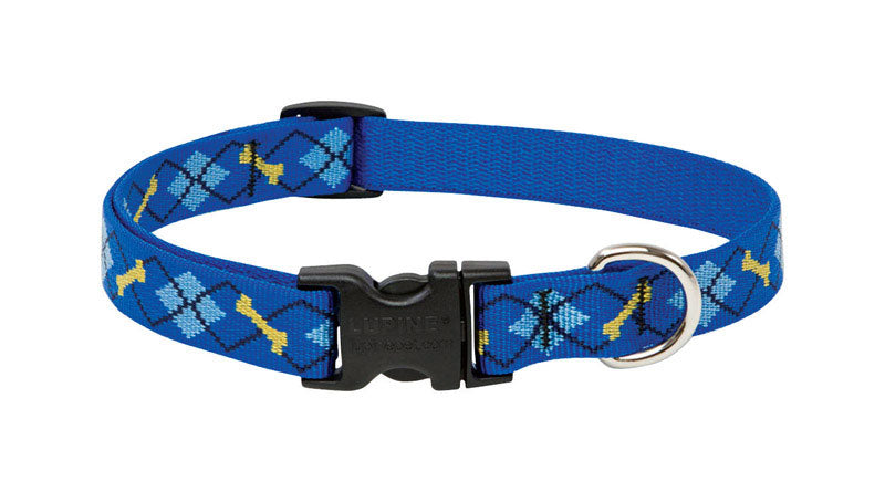 Adjustable Nylon Dog Collar (Original Designs)