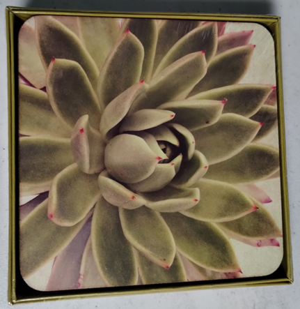 RockFlowerPaper Artful Coasters (Square) - 4 pc.