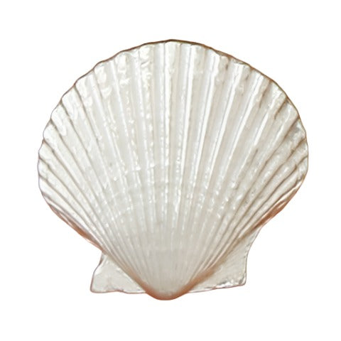 Decorative Ocean-Themed Pewter Cabinet Knobs - 1.25"