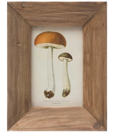 Fir Wood Photo Frame - 4" x 6"