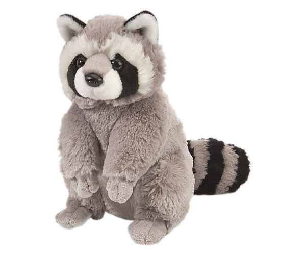 Cuddlekins Plush Raccoon - 12"