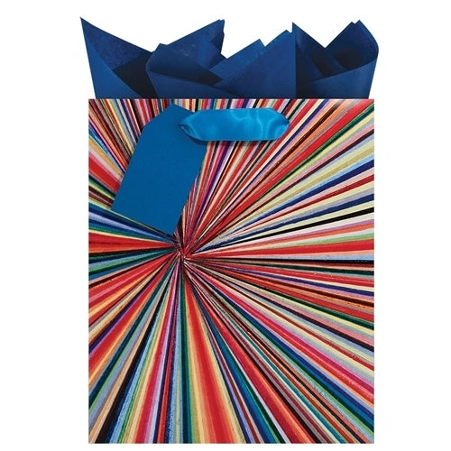 Prism Gift Bag - Medium