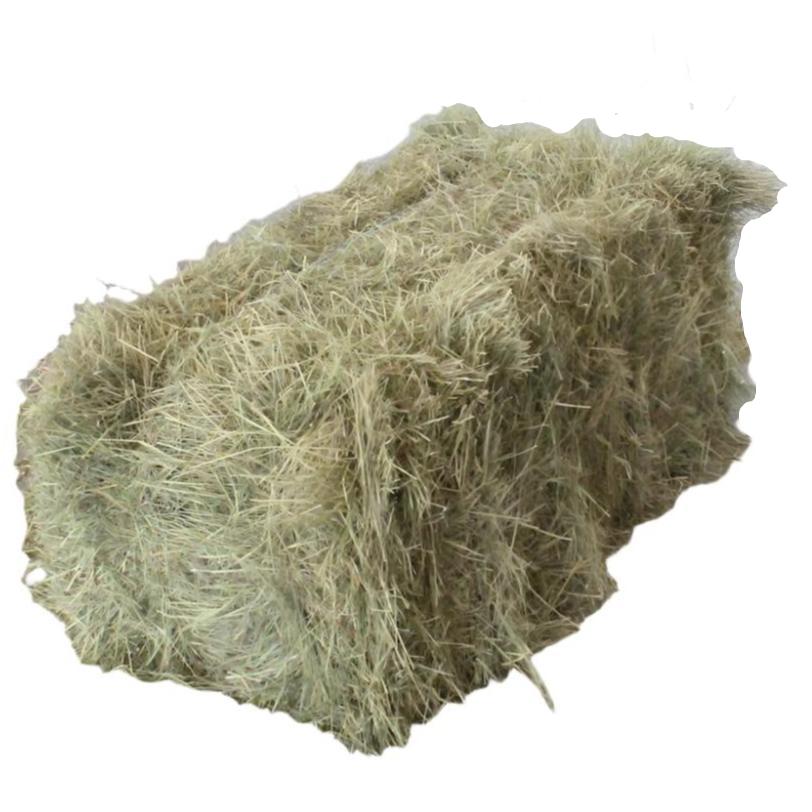 Coastal Bermudagrass Hay Bale - 32" x 14" x 18"