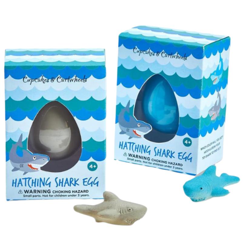 Grow Your Own Shark Hatching Egg Kit
