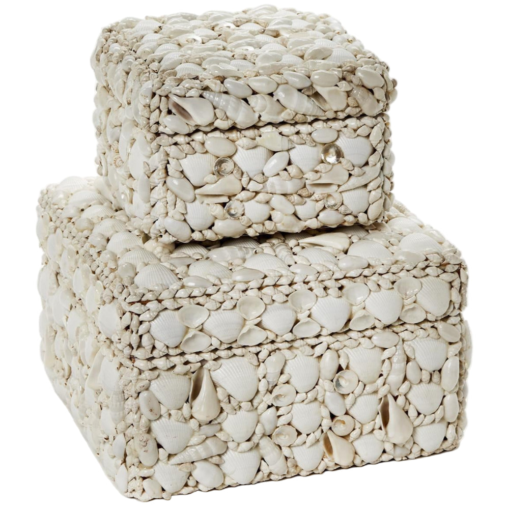 Two's Co. White Seashell Jewelry Boxes