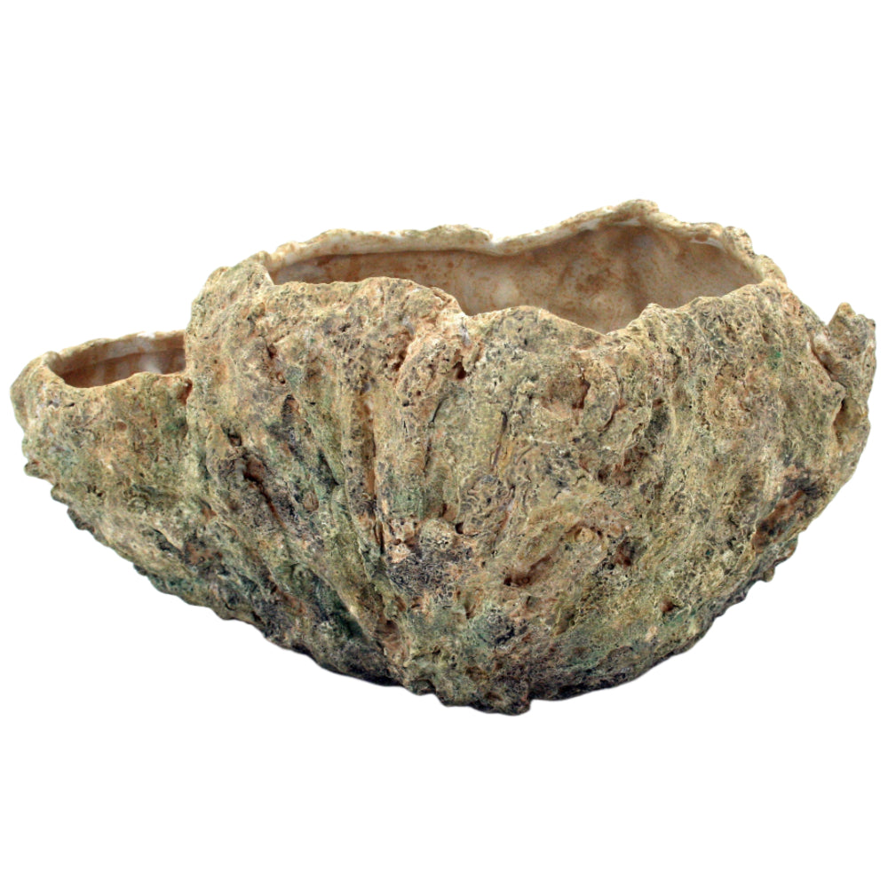 Modern Coastal Resin Coral Fossil Vase - 11.4" x 9"