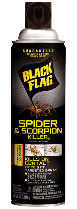 Black Flag Spider & Scorpion Killer (Spray) - 16 oz.