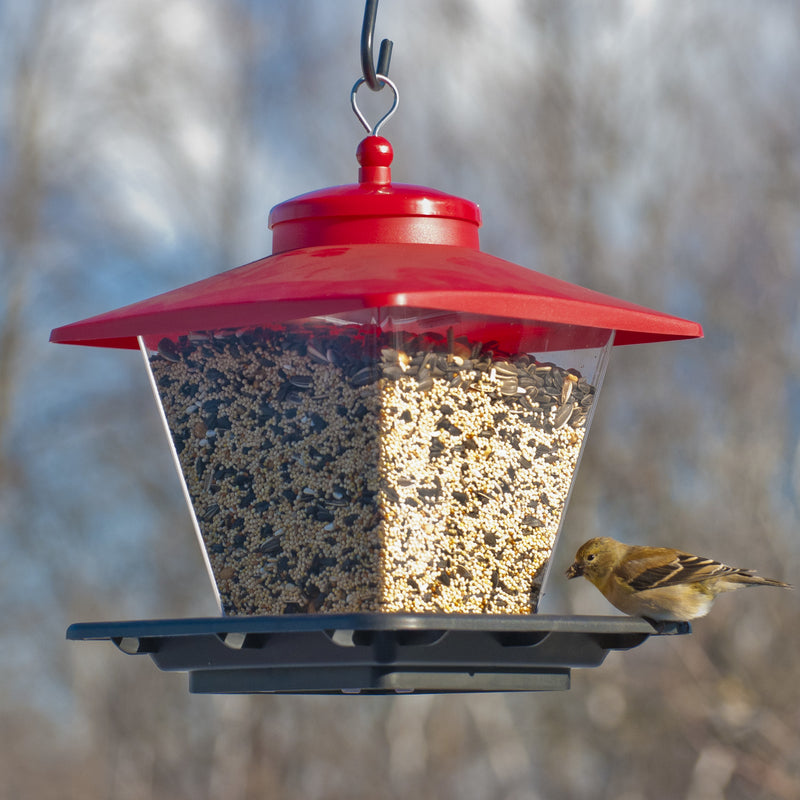 Audubon Plastic Cafe Bird Feeder - 4 Ports