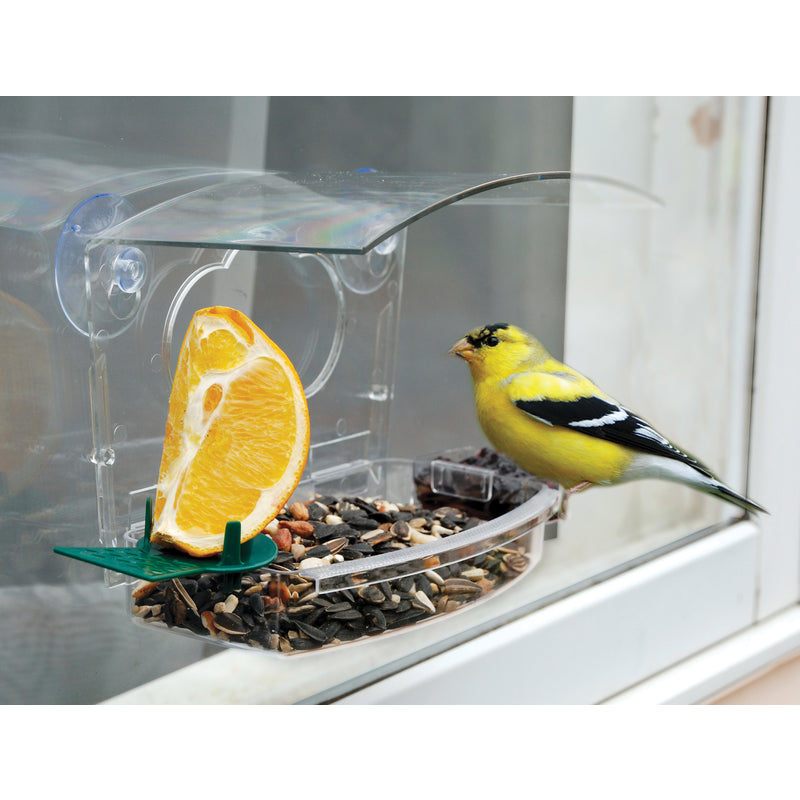 Audubon Plastic Window Mount Bird Feeder, 2 Ports