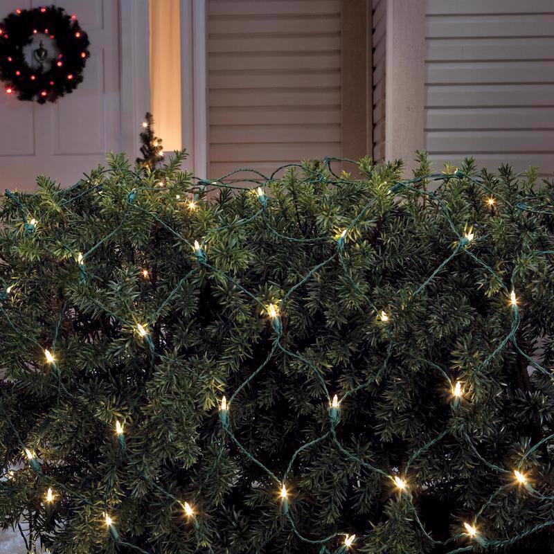 Celebrations Gold LED Christmas Light Net - 4' x 6' (100 Lights)
