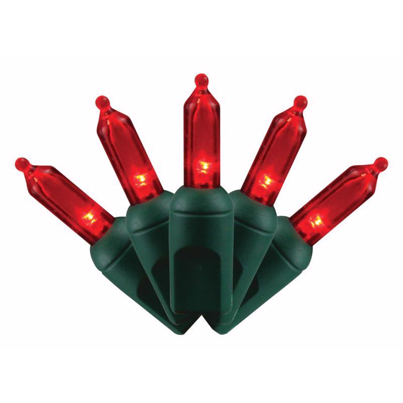 Celebrations Platinum LED T5 Mini Christmas Lights - 24.5' (50 Lights)