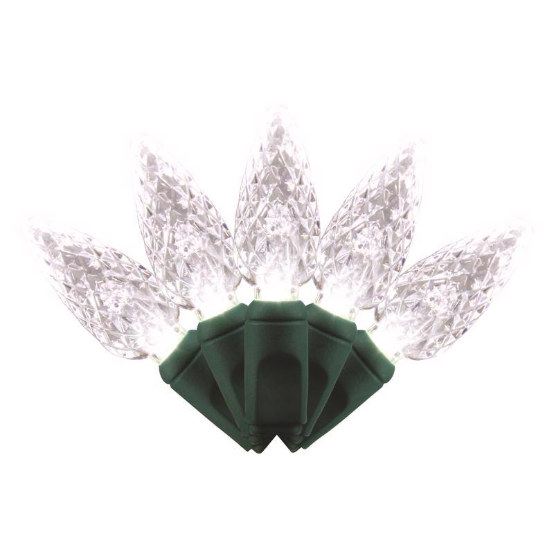 Celebrations Platinum LED C6 Christmas Lights - 25' (50 Lights)