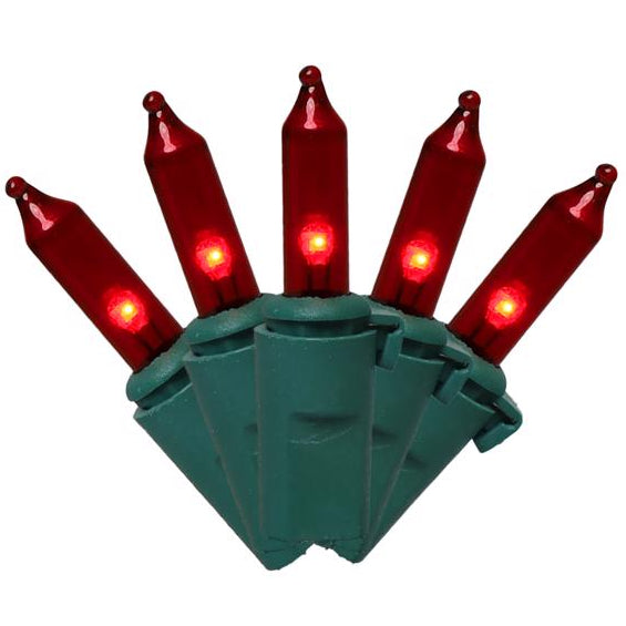 Celebrations Classic LED T5 Mini Christmas Lights - 24.75' (100 Lights)