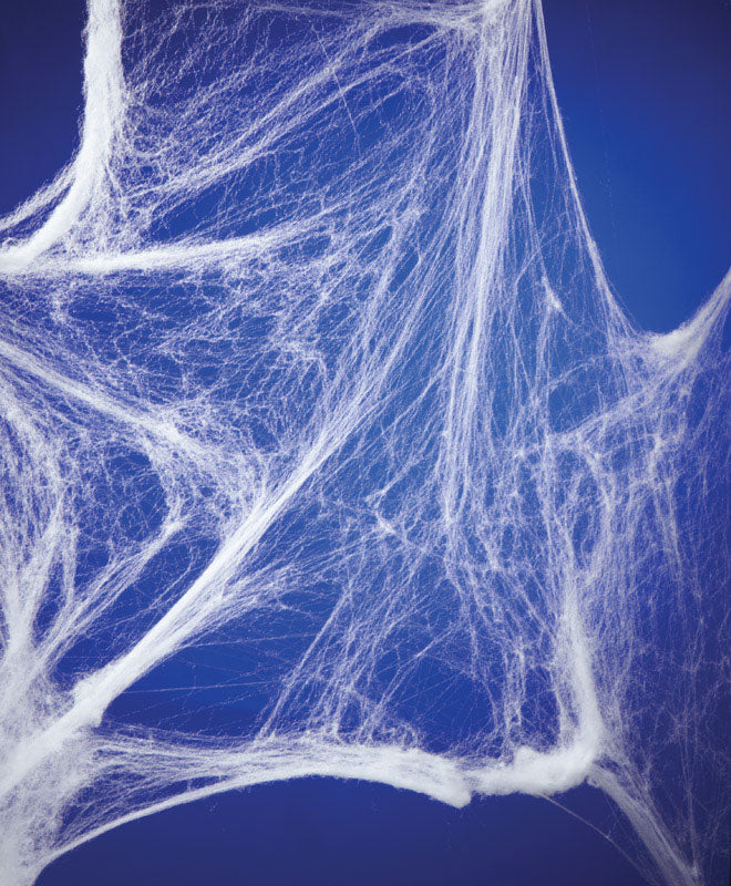 Artificial Spider Web