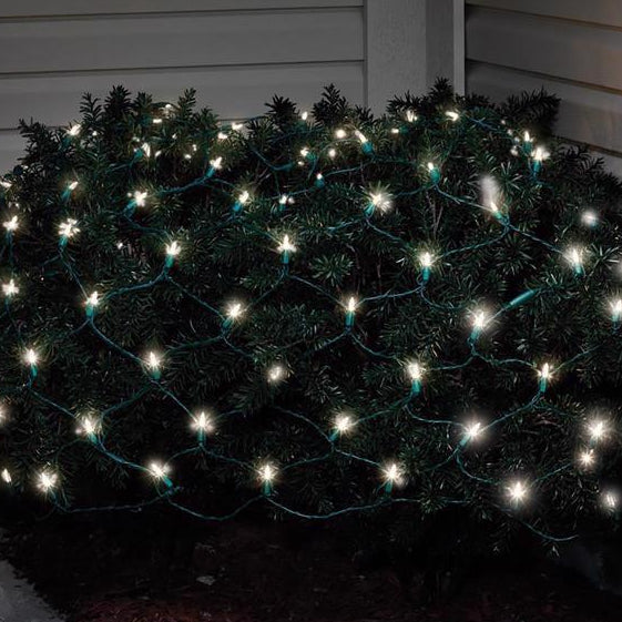 Celebrations LED Net-Style Christmas Lights - 4' x 6' (100 Lights)